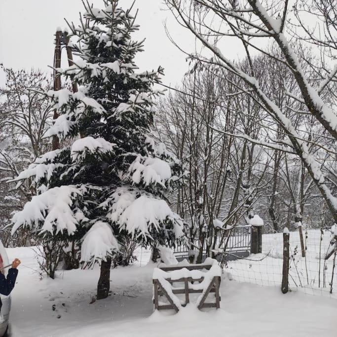 Maison De Montagne Au Calme Avec Cheminee Poubeau Bagian luar foto
